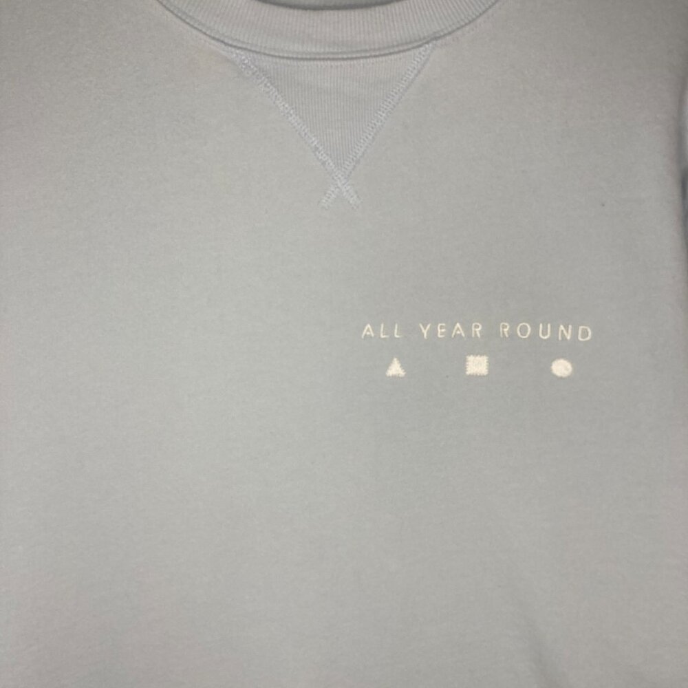 AYR All Year Round The Sweatshirt Crewneck Light Blue Small Classic 100% Cotton - Picture 3 of 12